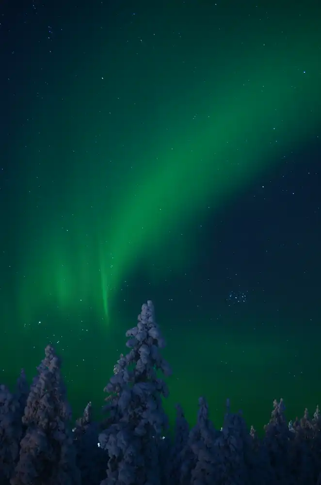 aurora