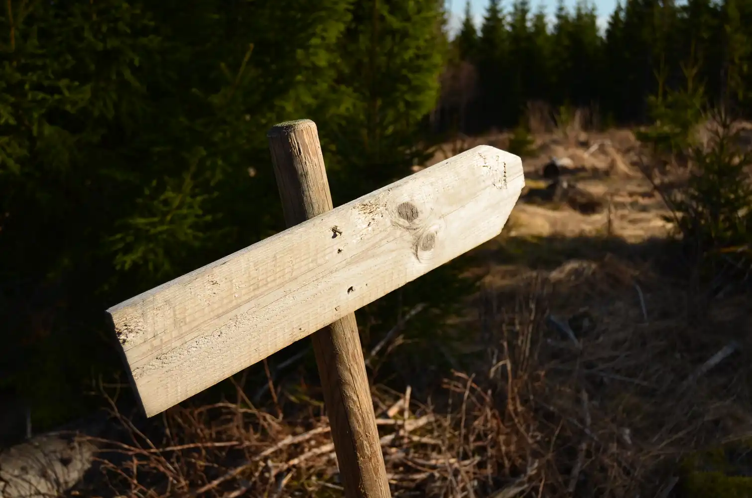 sign