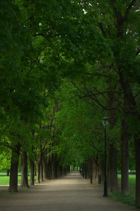 frognerparken
